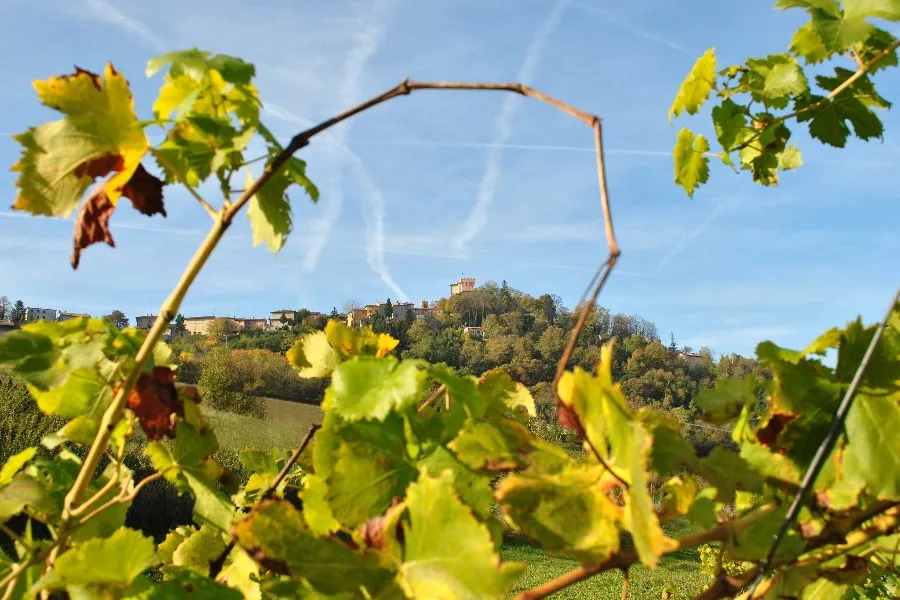 Immagine Dal territorio al vino 22 Immagine Dal territorio al vino 22