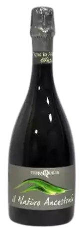 Immagine vino L'ANCESTRALE NATIVO Immagine vino L'ANCESTRALE NATIVO