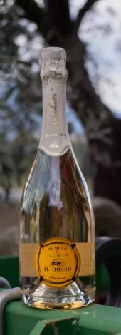 Bottiglia N°5 Franciacorta DOCG Extra Brut Bottiglia N°5 Franciacorta DOCG Extra Brut