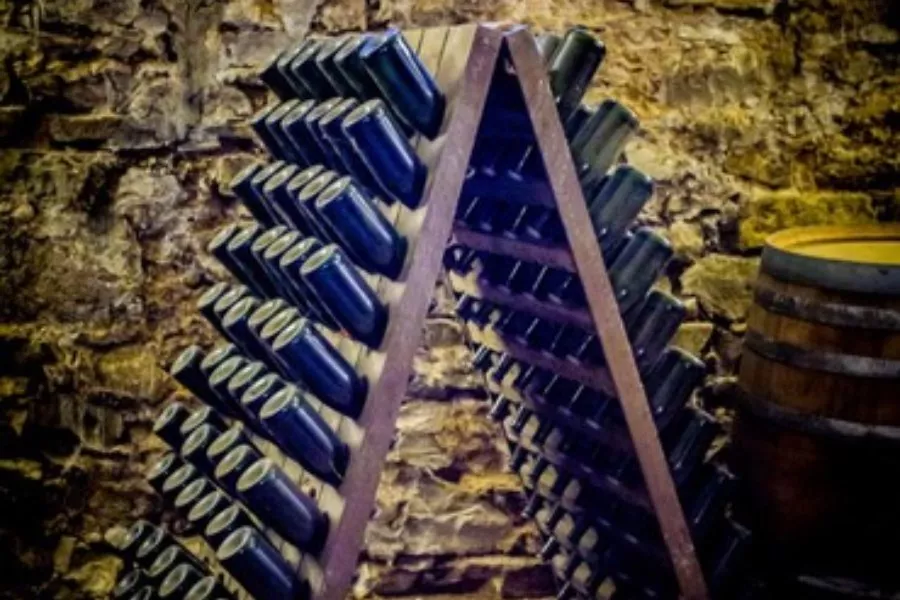 Immagine Castello & Wine 6