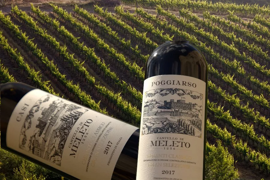 Immagine Visita al Castello con Light Lunch 7 Immagine Visita al Castello con Light Lunch 7