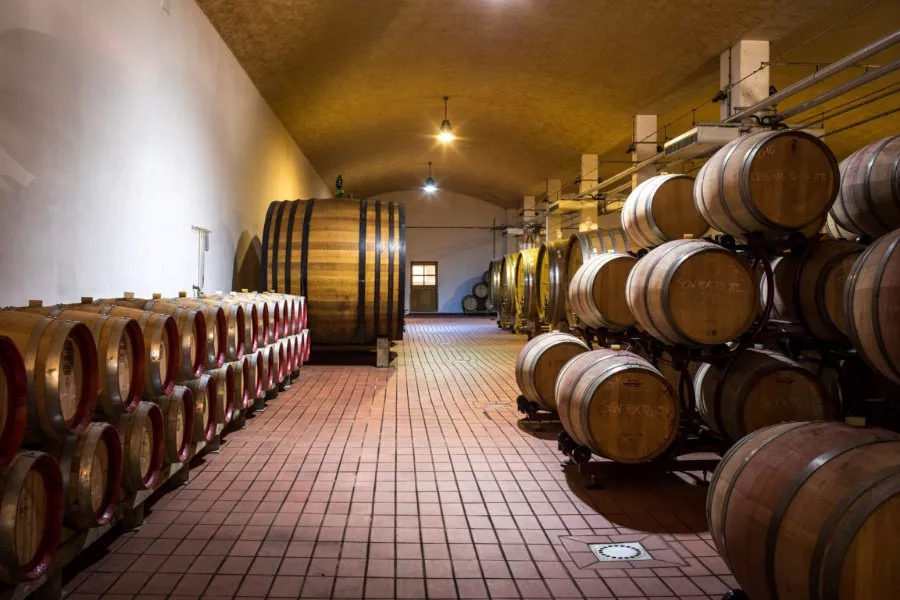 Immagine Visita al Castello con Light Lunch 8 Immagine Visita al Castello con Light Lunch 8