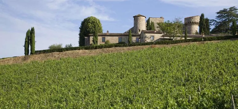 Immagine visita Bioviticola Tour Privato cantina Castello Meleto Immagine visita Bioviticola Tour Privato cantina Castello Meleto