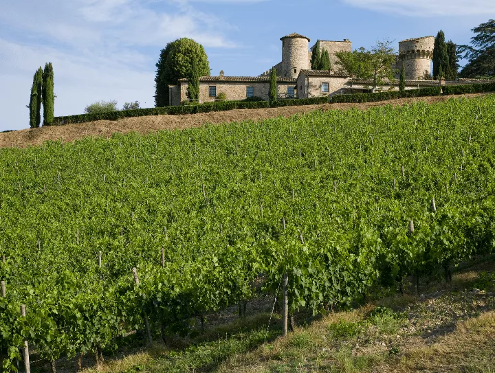 Immagine Castello & Wine 3