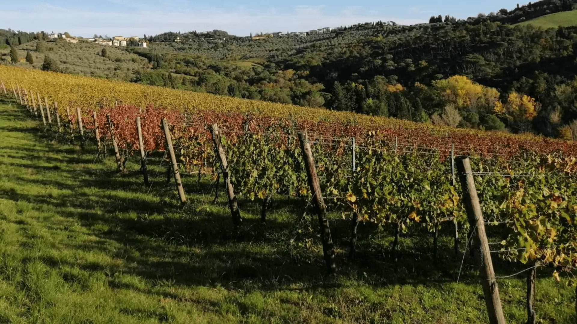 Immagine La Querce 1 Immagine La Querce 1