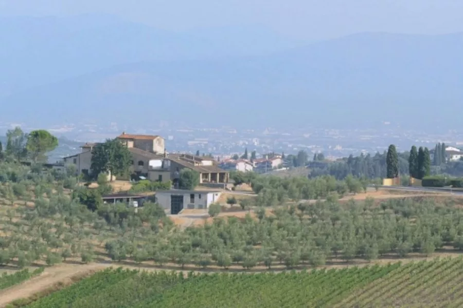 Immagine Die Essenz des Chianti Colli Fiorentini 9 Immagine Die Essenz des Chianti Colli Fiorentini 9