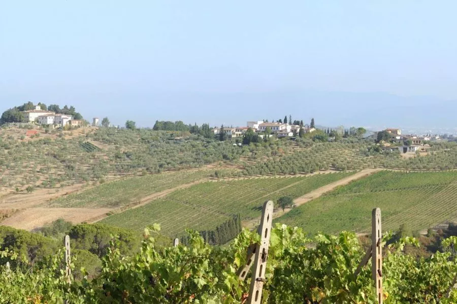 Immagine Die Essenz des Chianti Colli Fiorentini 14 Immagine Die Essenz des Chianti Colli Fiorentini 14