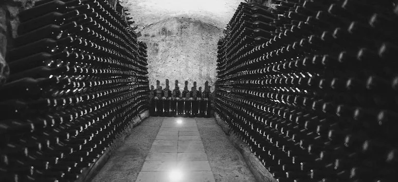 Immagine visita Degustazione di 2 etichette cantina Tenute Casoli - Azienda Agricola "Le Crete" Immagine visita Degustazione di 2 etichette cantina Tenute Casoli - Azienda Agricola "Le Crete"