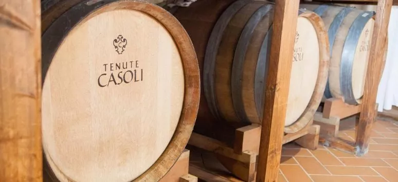 Immagine visita Degustazione di 3 etichette e assaggi di prodotti locali cantina Tenute Casoli - Azienda Agricola "Le Crete" Immagine visita Degustazione di 3 etichette e assaggi di prodotti locali cantina Tenute Casoli - Azienda Agricola "Le Crete"