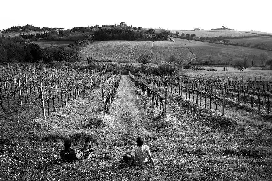 Immagine Lumiluna 4