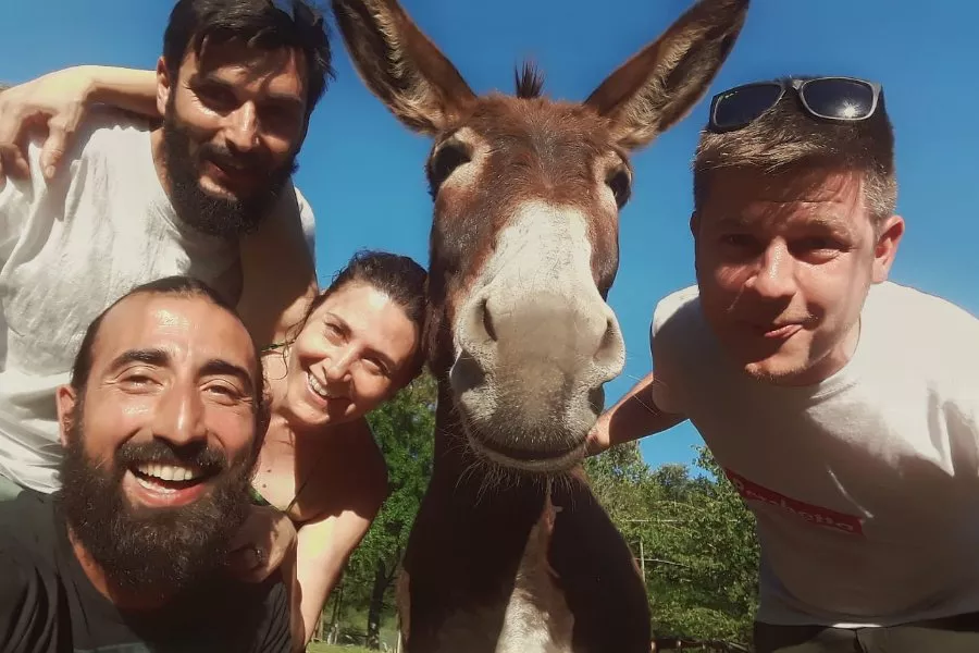 Immagine Lumiluna 6 Immagine Lumiluna 6