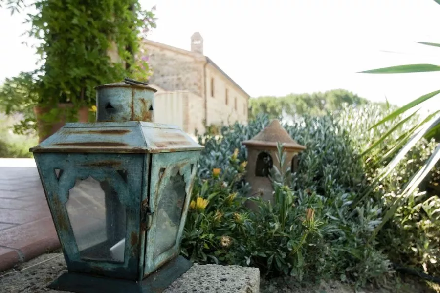 Immagine PRANZO IN CANTINA 6