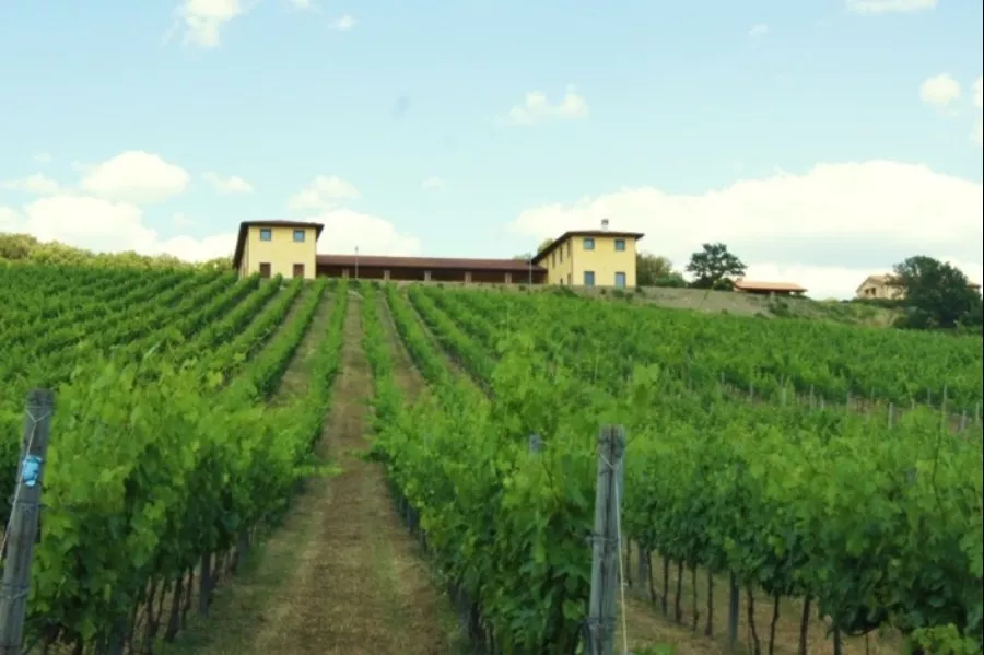 Immagine Tenuta L'Impostino 6 Immagine Tenuta L'Impostino 6