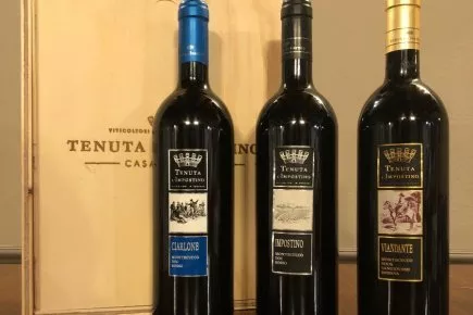 MONTECUCCO Immagine pacchetto MONTECUCCO