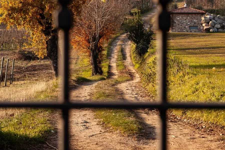 Immagine Ferghettina 4 Immagine Ferghettina 4