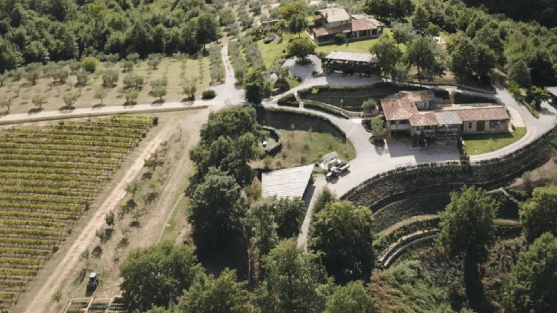 Immagine cantina Cantina Pomario