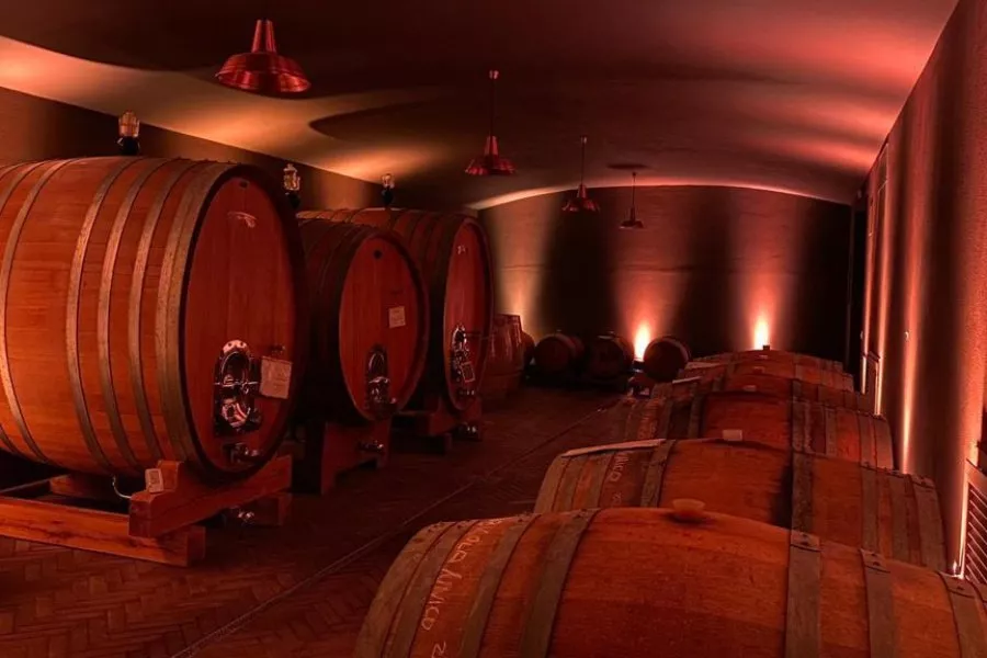 Immagine Wine Box da 2 vini - Arale e Sariano 6