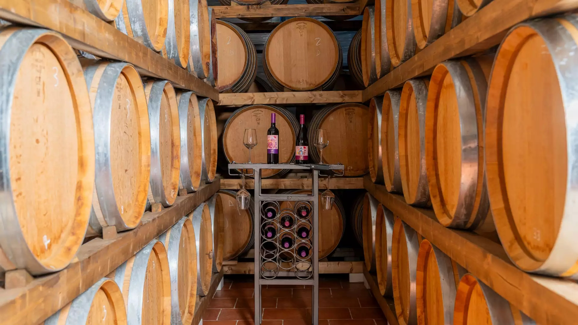 Immagine Nettare di Leggenda: Alla Scoperta dei Vini del Garda e dei Suoi Miti 3