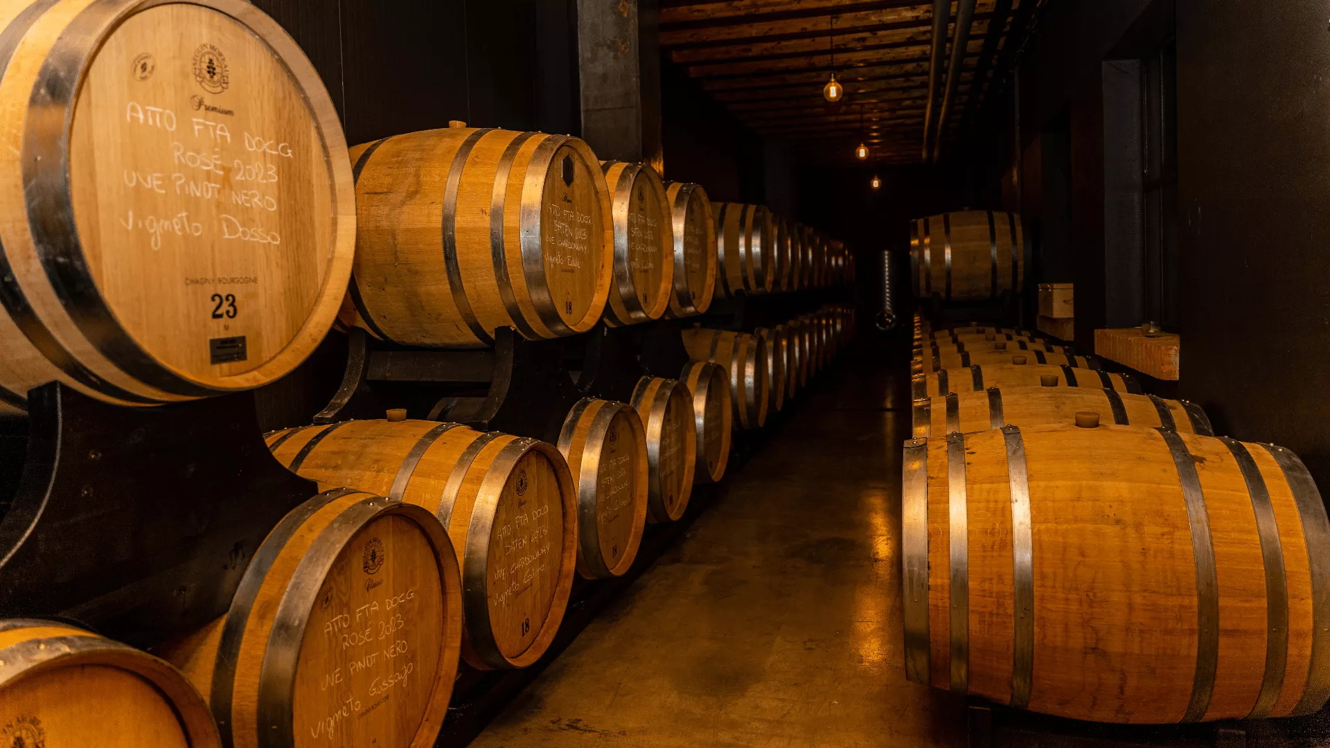 Immagine cantina Bonfadini