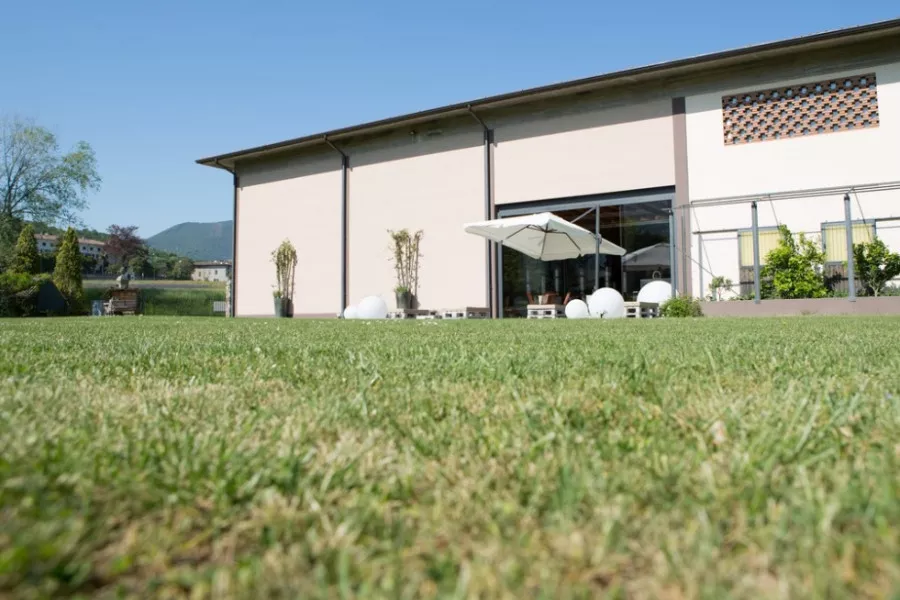 Immagine Tour Avanzato 4 calici 4 Immagine Tour Avanzato 4 calici 4