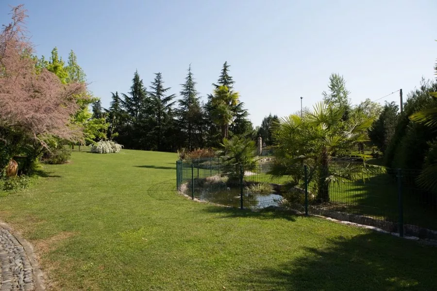 Immagine Bonfadini 7