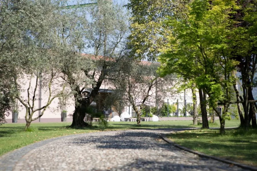 Immagine Bonfadini 13