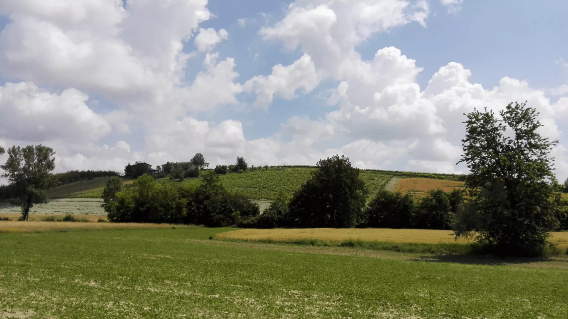Immagine Cascina Montariolo 1 Immagine Cascina Montariolo 1