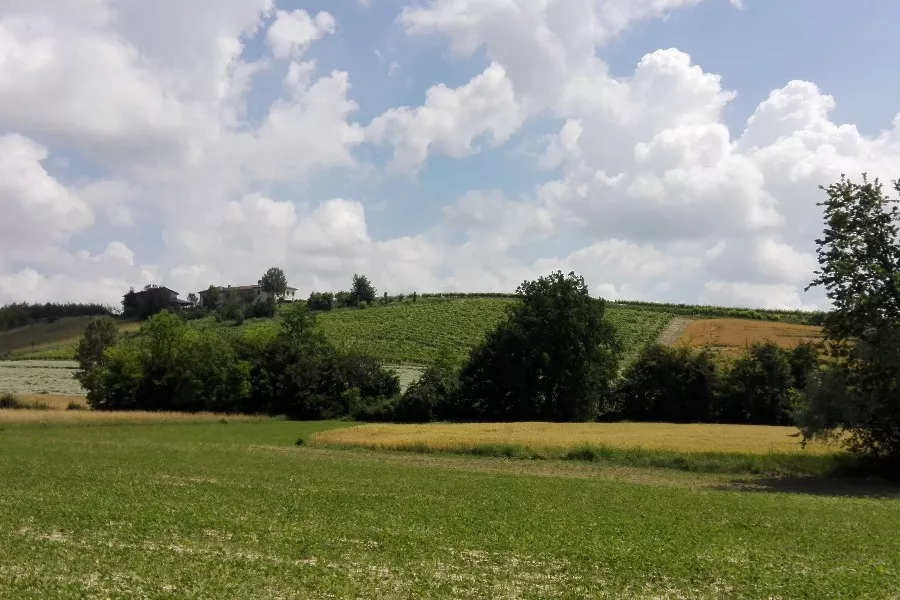 Immagine Cascina Montariolo 9 Immagine Cascina Montariolo 9