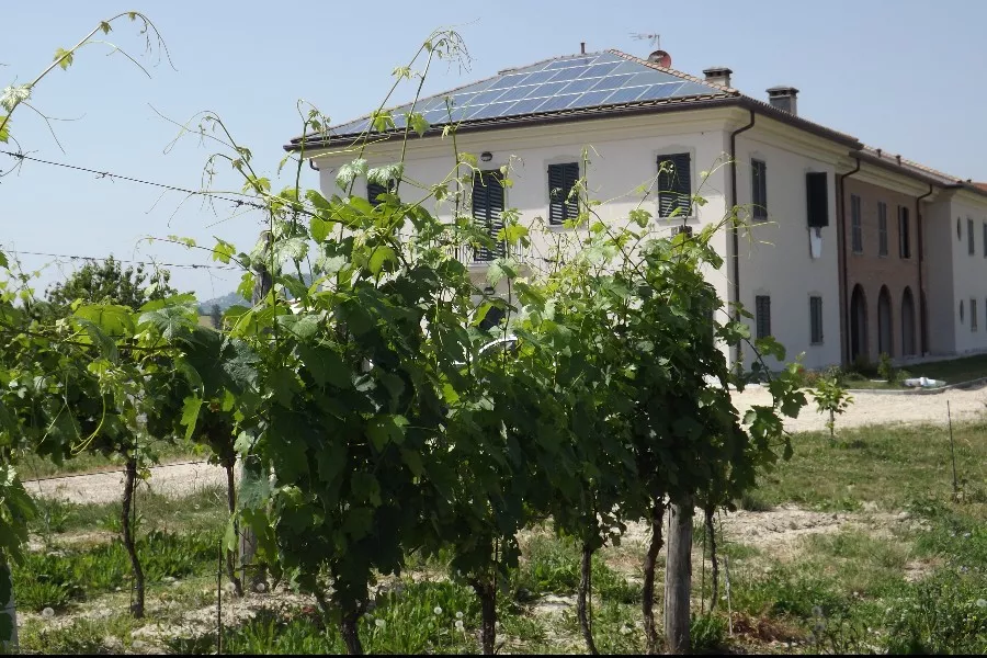 Immagine Cascina Montariolo 11 Immagine Cascina Montariolo 11
