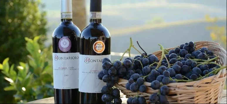 Immagine visita Passione Barbera cantina Cascina Montariolo