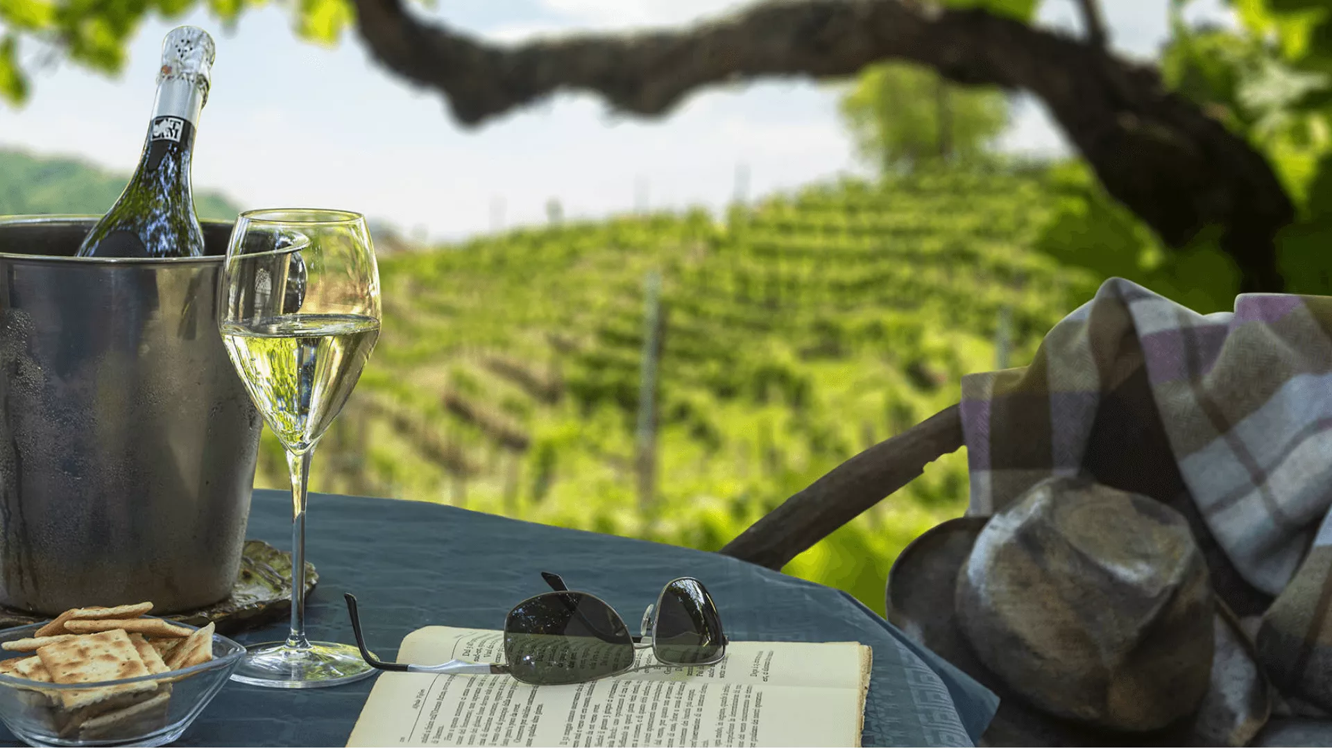 Immagine cantina Moret Vini