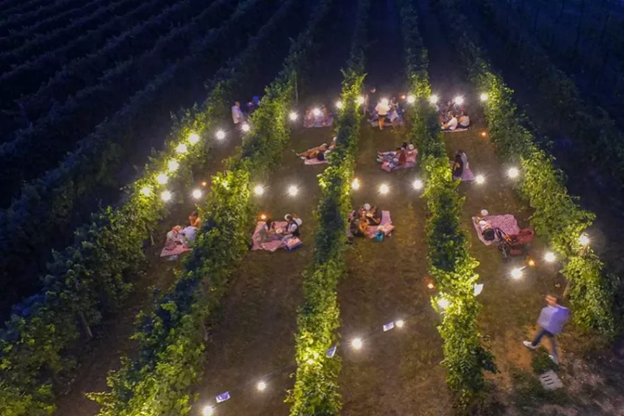Immagine Moret Vini 4