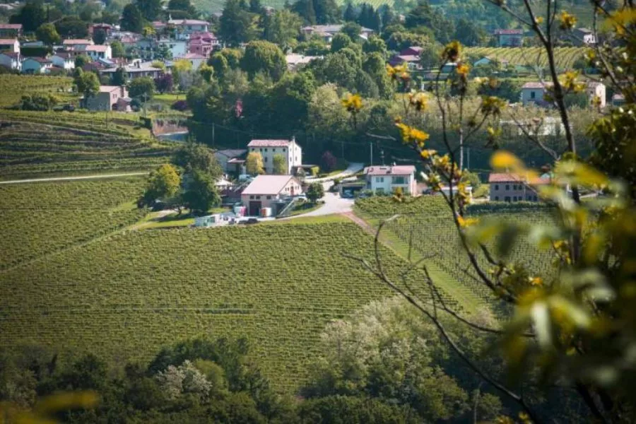 Immagine Moret Vini 6 Immagine Moret Vini 6