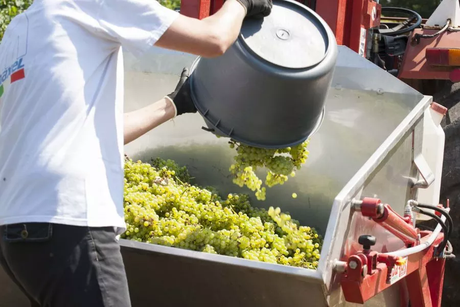 Immagine Moret Vini 8 Immagine Moret Vini 8