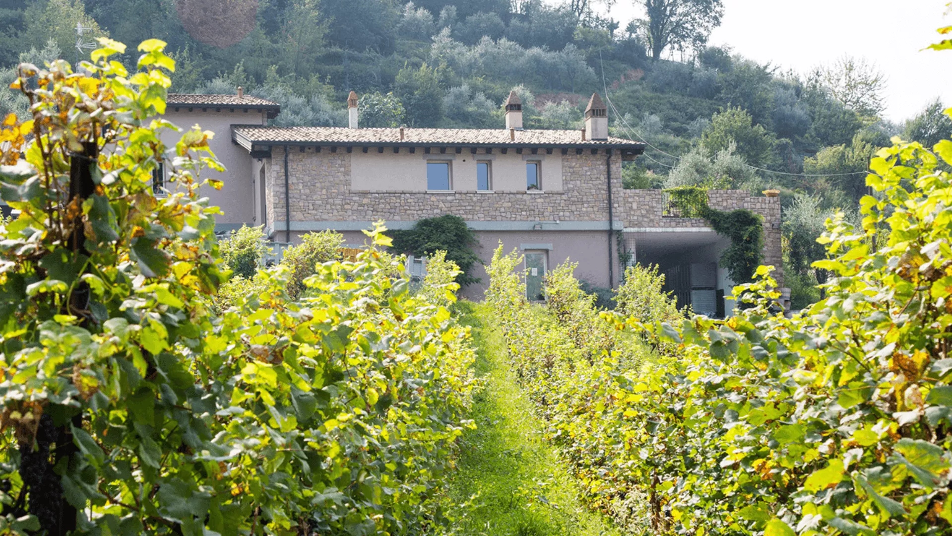 Immagine Colline Della Stella 1 Immagine Colline Della Stella 1