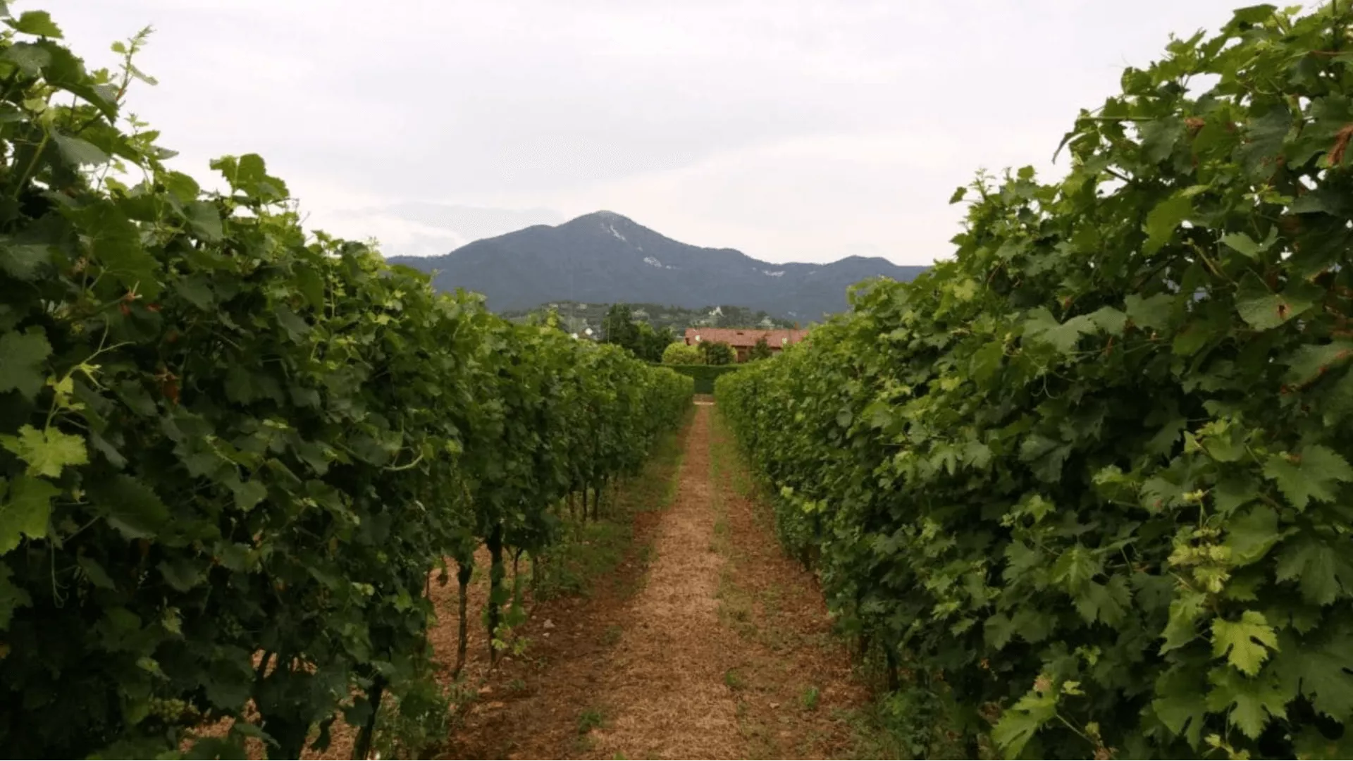 Immagine Tour briosio 2