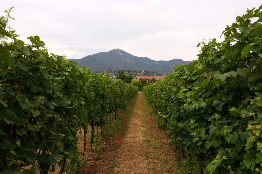 Immagine Tour briosio 4