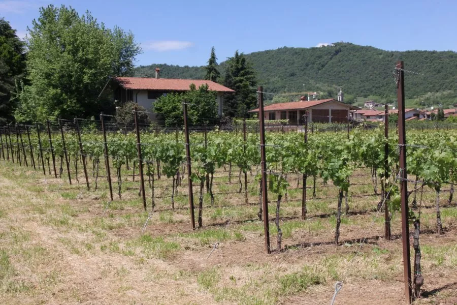 Immagine Tour briosio 10 Immagine Tour briosio 10