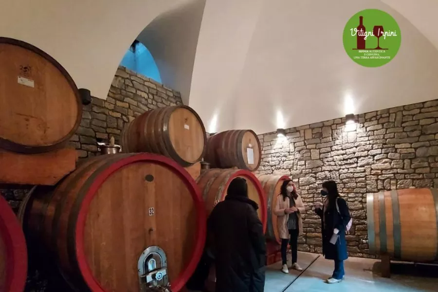 Immagine Vitigni Irpini 16 Immagine Vitigni Irpini 16