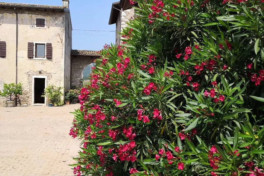 Immagine Le Fraghe 3 Immagine Le Fraghe 3