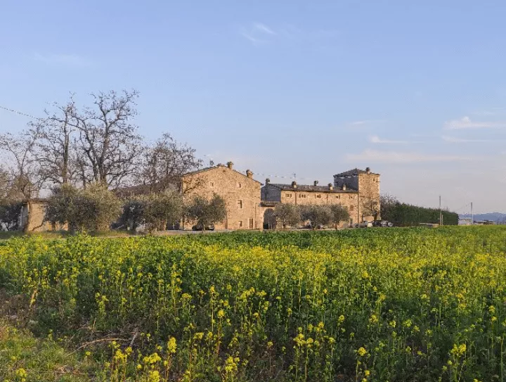 Immagine Le Fraghe 2 Immagine Le Fraghe 2