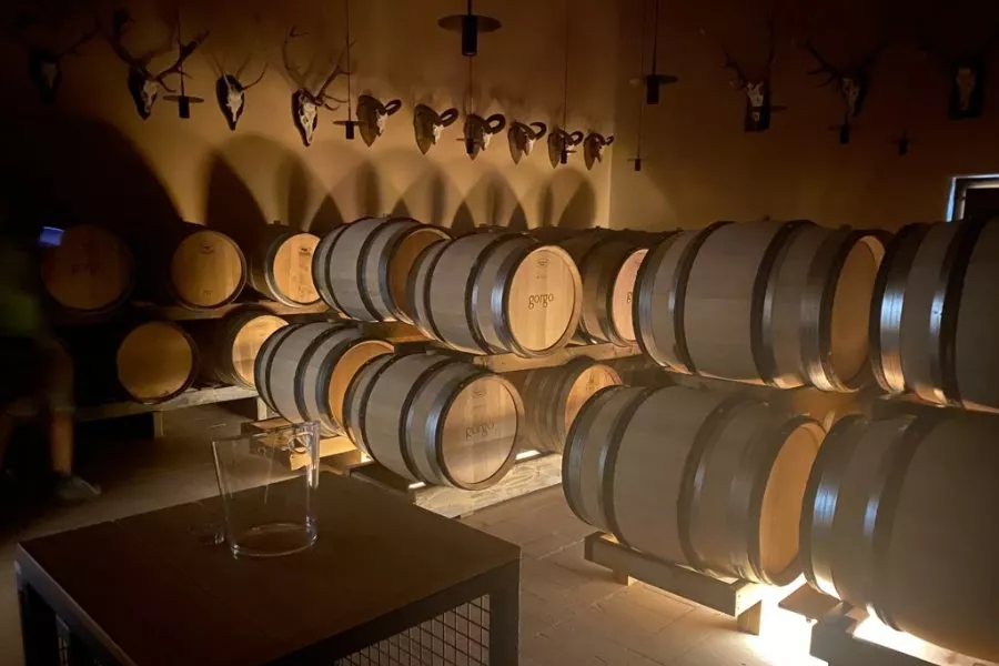 Immagine Degustazione classica 7 Immagine Degustazione classica 7