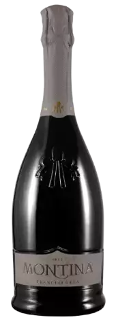 Immagine vino FRANCIACORTA BRUT
