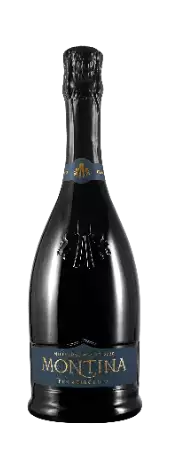 Immagine vino FRANCIACORTA MILLESIMATO BRUT 
