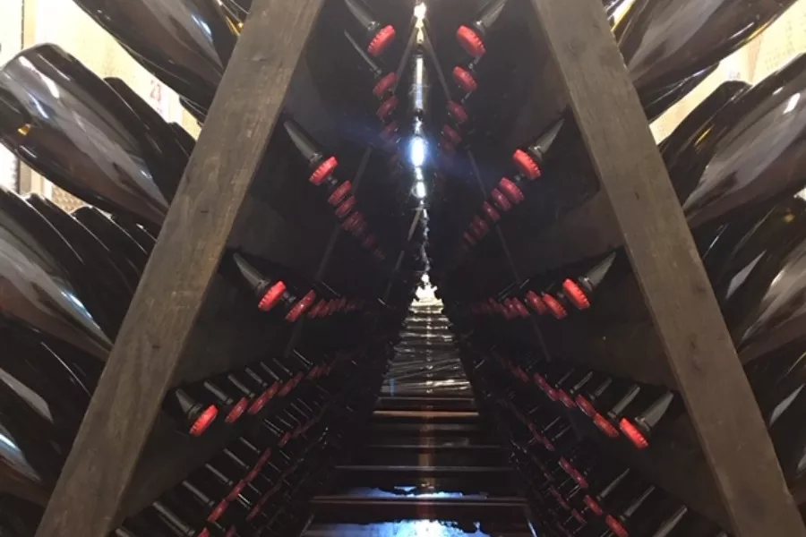 Immagine Tutto il Gavi in 5 Bicchieri 7 Immagine Tutto il Gavi in 5 Bicchieri 7