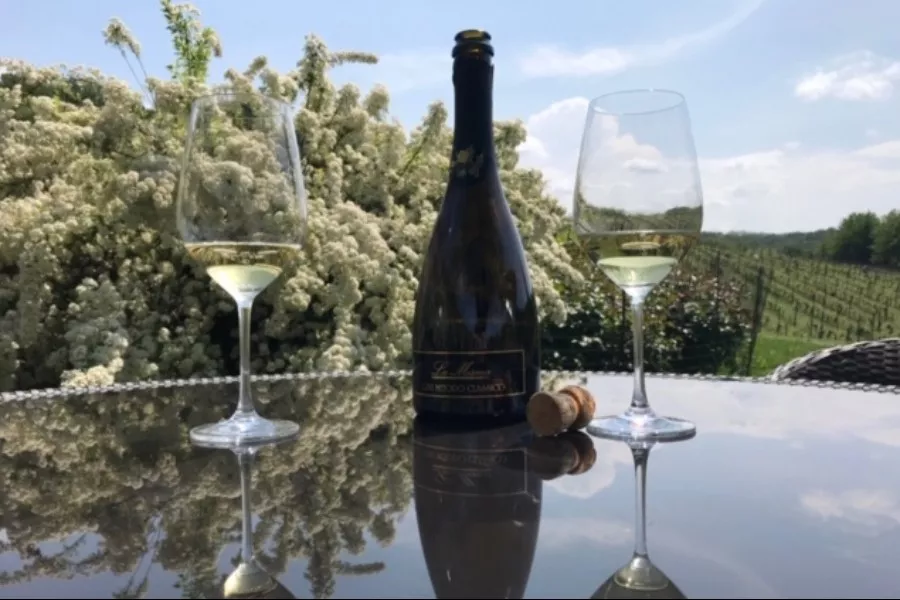 Immagine Tutto il Gavi in 5 Bicchieri 8 Immagine Tutto il Gavi in 5 Bicchieri 8