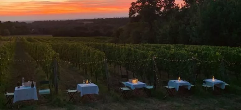 Immagine visita Degustazione speciale in vigna