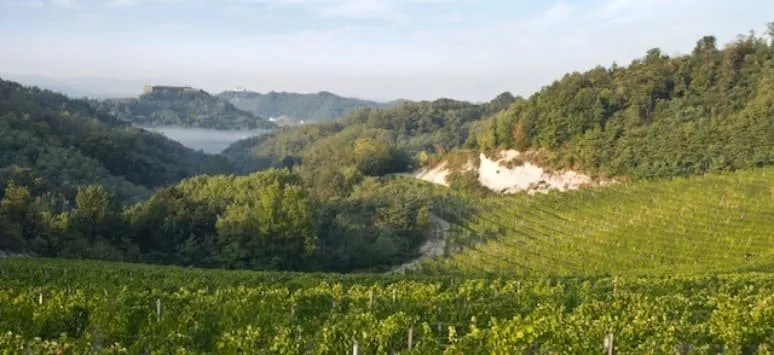 Immagine visita Panoramica sul Gavi Immagine visita Panoramica sul Gavi