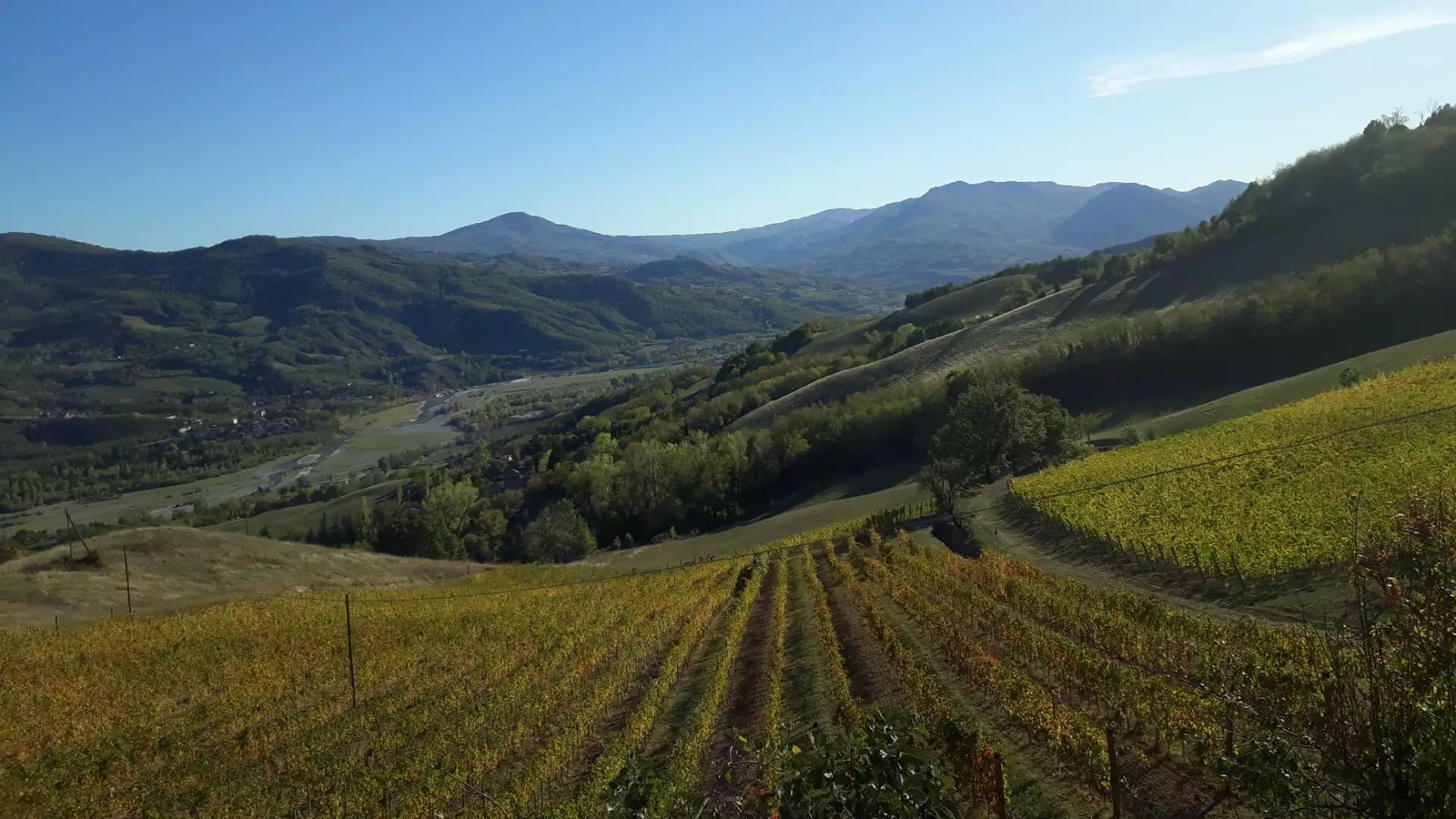 Immagine cantina Podere Paganini