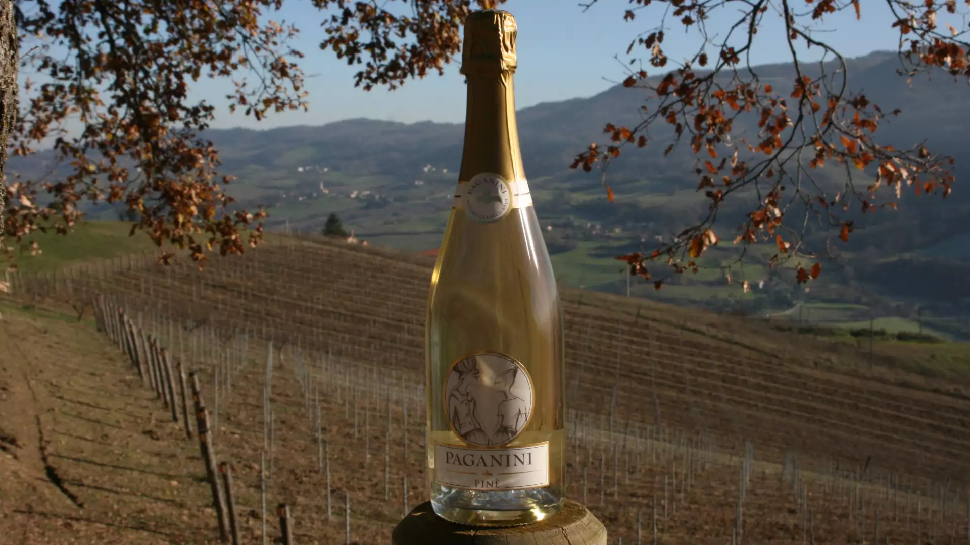 Immagine visita DEGUSTAZIONE ‘BARRIQUE’  cantina Podere Paganini